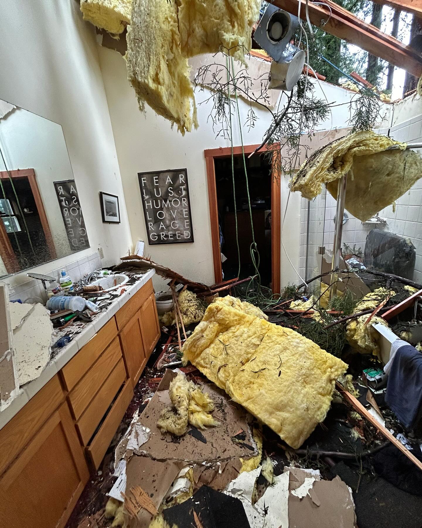 A bathroom with extensive damage; the ceiling and insulation have collapsed, and debris covers the floor. Several household items are scattered, and a broken tree branch is visible inside. Comprehensive water damage restoration is urgently needed to address the devastation.