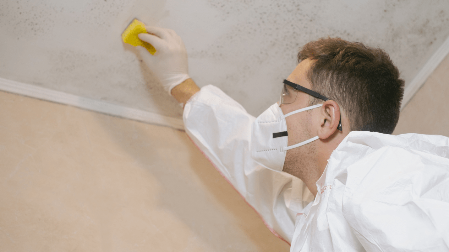 A man wearing safety glasses uses a sponge to clean mold off of a home’s ceiling.