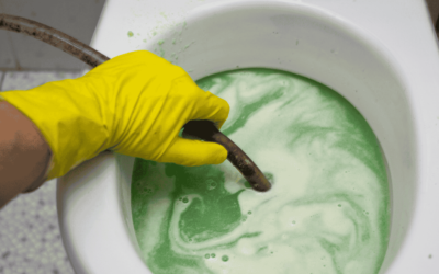 The Hidden Danger of Sewage Backup: Why Mold Estimates Matter