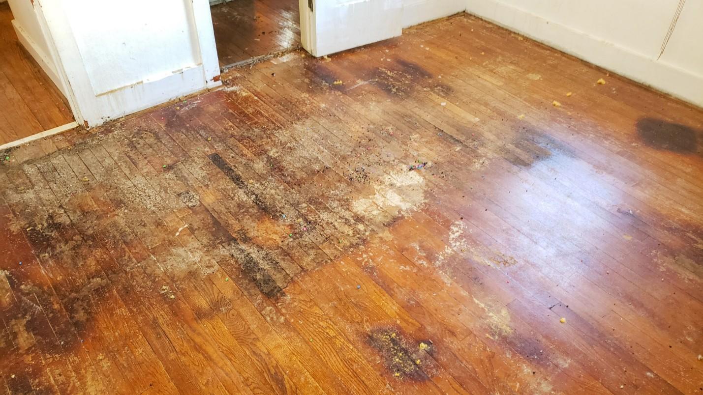 A floor with heavy water damage and spots of mold growth.